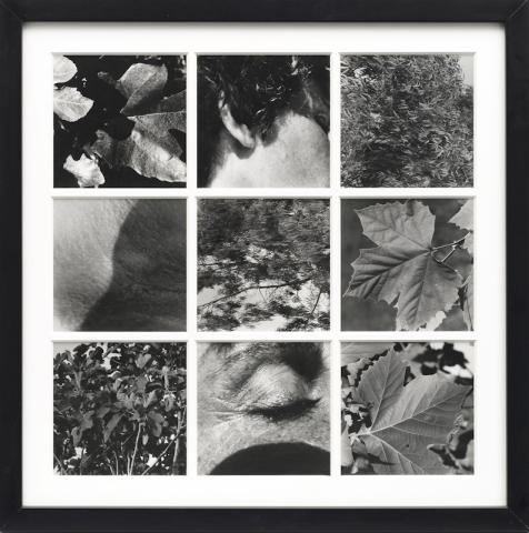 Elisa Montessori, Dafne, 1977, stampa fotografica, 75 x 75 cm Crediti fotografici: Giorgio Benni Courtesy l’Artista e Galleria Monitor Roma | Lisbona | Pereto (AQ) Elisa Montessori, Dafne, 1977, stampa fotografica, 75 x 75 cm Crediti fotografici: Giorgio Benni Courtesy l’Artista e Galleria Monitor Roma | Lisbona | Pereto (AQ)